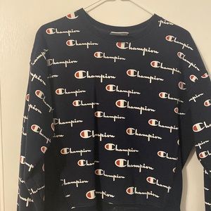 Champion pull over